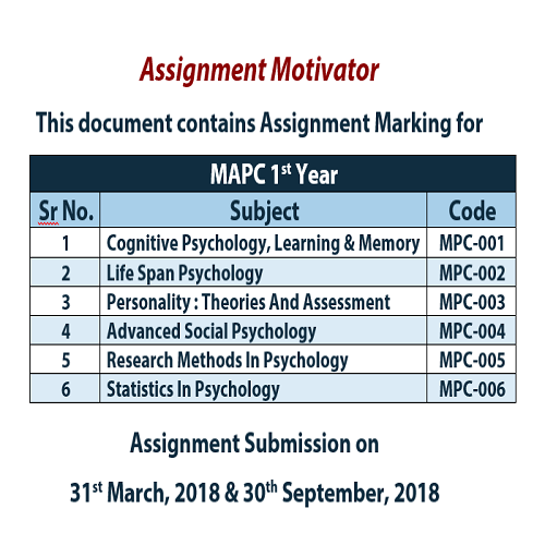 00AssignmentMotivator1stYear2018